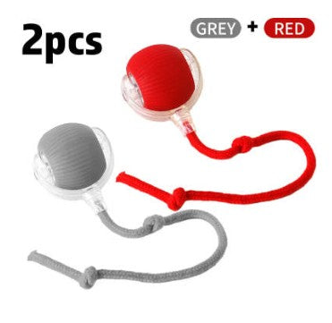 Bola Interactiva para Gatos Kuro - Conjunto1