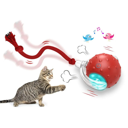 Bola Interactiva para Gatos Kuro - imagen 1